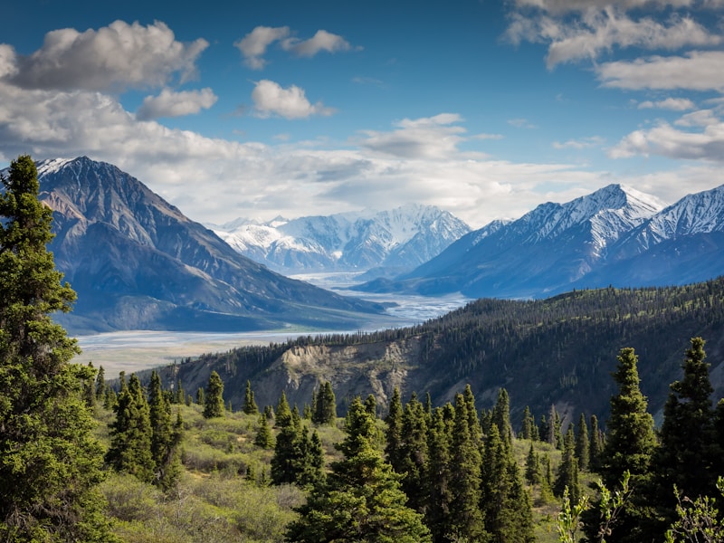 Fındıklı Sahil Satılık Bahçeli Arsa 4696 m² - Görsel 2